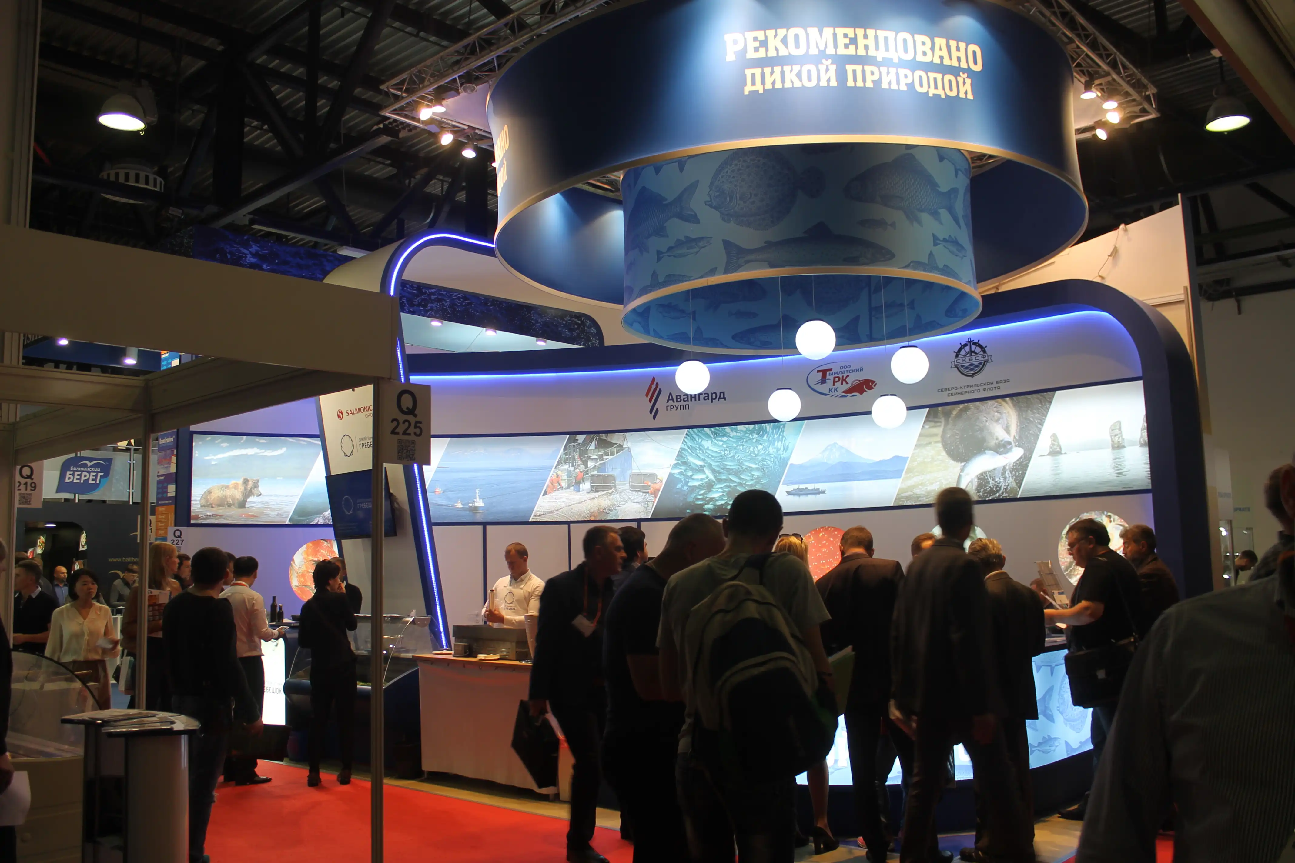 Exhibition Stand Builders in Egypt